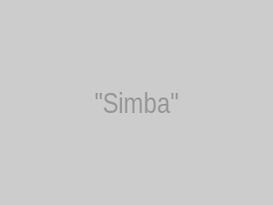 Simba "Be Prepared"